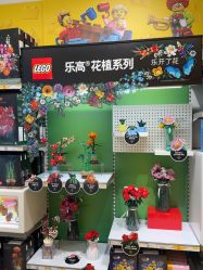 -乐高授权专卖店(朝阳大悦城店)