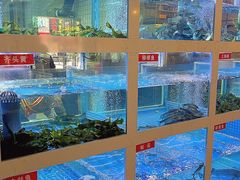 -石锅苗苗鱼(武汉首店)