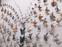 -四川大学博物馆