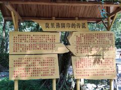 -莫里热带雨林景区