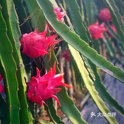 dUiTbmAS_eaLNECg0kPkzLGuzG0mIMHrAL4V57b34PXuvMTBvjlwVfXwQDC-N7xauzFvxlbkWx5uwqY2qcjixFEuLYk00OmSS1IdNpm8K8sG4JN9RIm2mTKcbLtc2o2vfCF2ubeXzk49OsGrXt_KYDCngOyCwZK-s3fqawWswzk.jpg