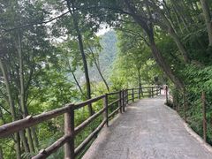 -少华山国家森林公园