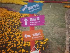 -河源客天下-温泉小镇