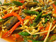 -陈麻婆豆腐总店