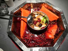 双人锅鸳鸯-蜀九香火锅(九眼桥店)