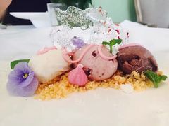 -蝶舍·MAISON PAPILLON