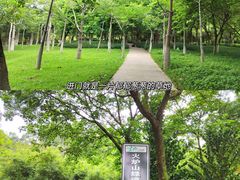 -火炉山森林公园