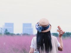 -尚贤河湿地