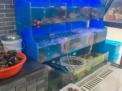 -食海部落