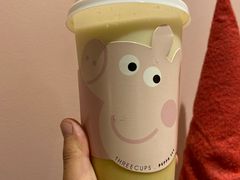 -浣熊柯尔鸭土拨鼠·电玩咖