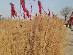 -汉长安城未央宫国家考古遗址公园