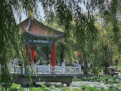 -长春市南湖公园