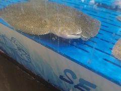 -壹迦桌游·血染钟楼剧本杀狼人杀