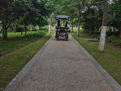 -昆山城市生态森林公园