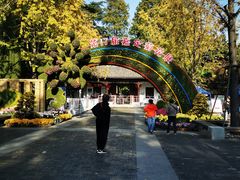 -汇龙潭