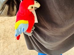 -北京野生动物园