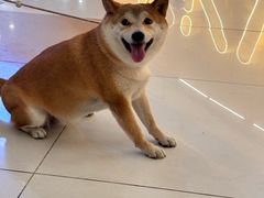 -凯德广场(西城店)