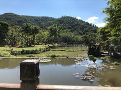 -呀诺达热带雨林