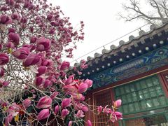 -潭柘寺景区