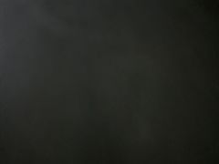 -巢爷老味(东方红店)