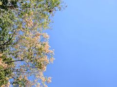 -盘龙城国家考古遗址公园