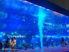 -成都浩海立方海洋公园