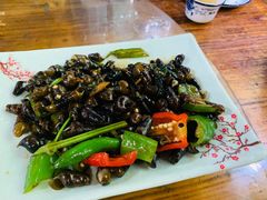 山吭螺-桃姐农庄老字号(从化温泉店)