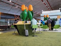 -首都机场T3航站楼商务CIP贵宾厅