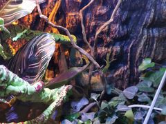 -Rabbit Cafe私房西餐甜点咖啡(栖霞路店)