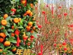 -天河体育中心