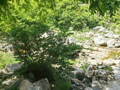 -崂山九水游览区