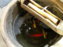 -滇越乘象云南餐厅(豆各庄店)