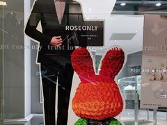 -ROSEONLY诺誓(广州K11店)