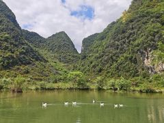 -靖西鹅泉风景区