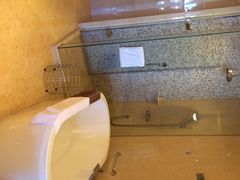 iphone_upload_pic-圣雷克大酒店