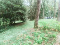 -杭州植物园