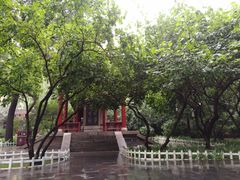 -碑林公园