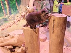-正佳雨林生态植物园