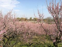 -苏州上方山国家森林公园