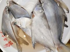 -西火火·川派小火锅(西溪银泰店)