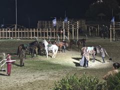 -胖大嫂渔家排档·全海景餐厅(渔村店)