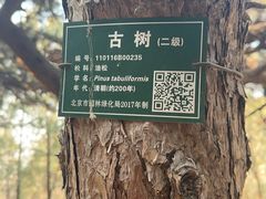 -红螺寺