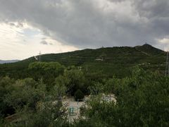 -张北坝上草原
