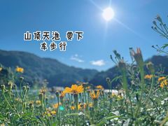-广州市石门国家森林公园