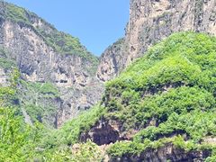 -王莽岭风景区