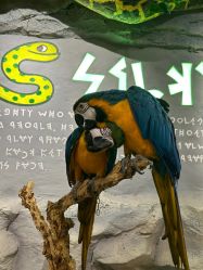 -Zoolung Zoolung动物主题公园(海信广场店)