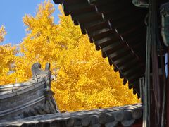 -承恩寺