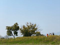 -良渚古城遗址公园