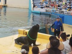 -秦皇岛乐岛海洋王国