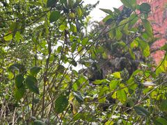 -陈李济中药博物馆